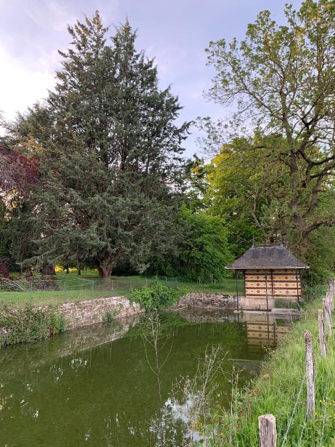 Chateau Du Mauny, Gites Et Chambres D'Hotes En Bourgogne Rosey Dış mekan fotoğraf
