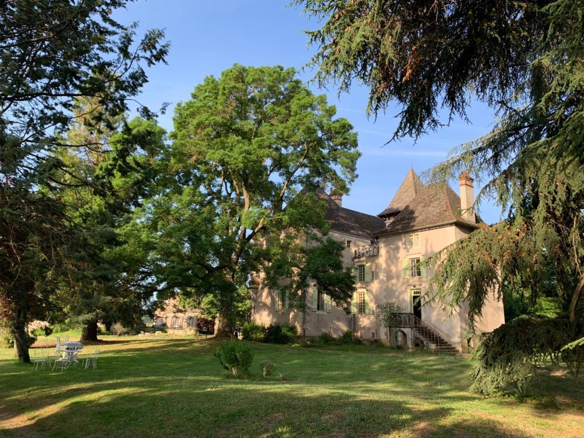 Chateau Du Mauny, Gites Et Chambres D'Hotes En Bourgogne Rosey Dış mekan fotoğraf
