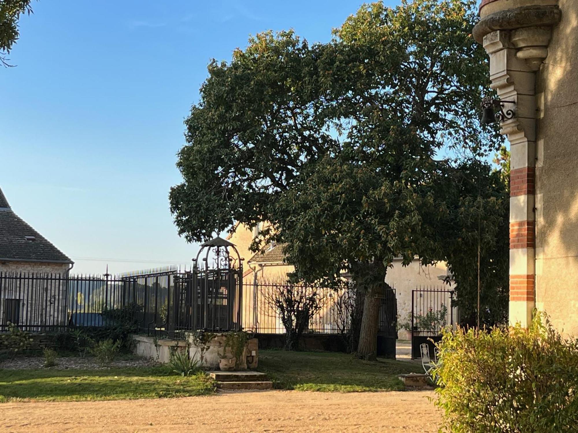 Chateau Du Mauny, Gites Et Chambres D'Hotes En Bourgogne Rosey Dış mekan fotoğraf